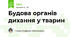 Будова органів дихання у тварин
