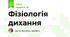 Фізіологія дихання