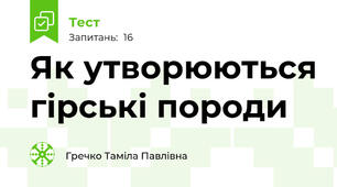 Як утворюються гірські породи