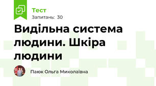 Видільна система людини. Шкіра людини