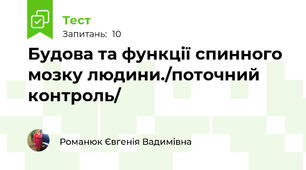 Будова та функції спинного мозку людини./поточний контроль/
