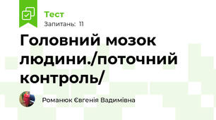 Головний мозок людини./поточний контроль/