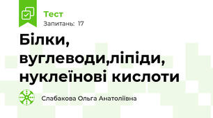 Білки, вуглеводи,ліпіди, нуклеїнові кислоти