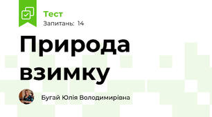 Природа взимку