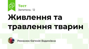 Живлення та травлення тварин