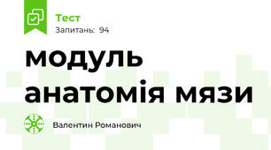 модуль анатомія мязи