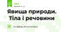 Явища природи.  Тіла і речовини 