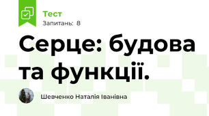 Серце: будова та функції.