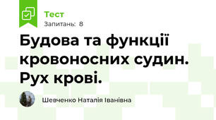 Будова та функції кровоносних судин. Рух крові.