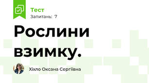 Рослини взимку. 