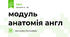 модуль анатомія англ