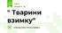 " Тварини взимку"