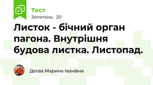 Листок - бічний орган пагона. Внутрішня будова листка. Листопад.