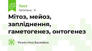 Мітоз, мейоз, запліднення, гаметогенез, онтогенез
