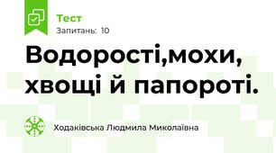 Водорості,мохи, хвощі й папороті.