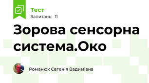 Зорова сенсорна система.Око
