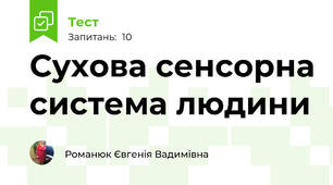 Сухова сенсорна система людини