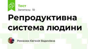 Репродуктивна система людини