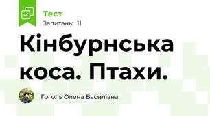 Кінбурнська коса. Птахи.