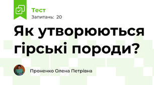 Як утворюються гірські породи?