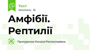 Амфібії. Рептилії