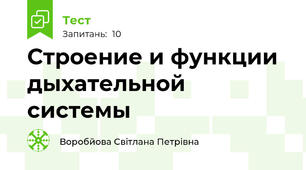Строение и функции дыхательной системы