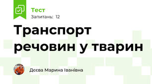 Транспорт речовин у тварин
