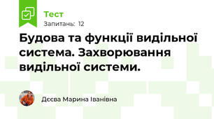 Будова та функції видільної система. Захворювання видільної системи.