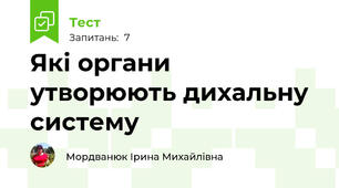 Які органи утворюють дихальну систему 