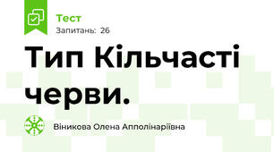 Тип Кільчасті черви.
