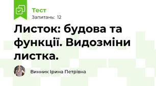 Листок: будова та функції. Видозміни листка.
