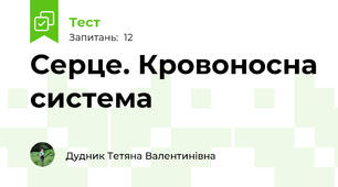 Серце. Кровоносна система