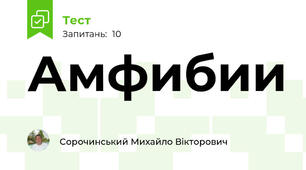 Амфибии