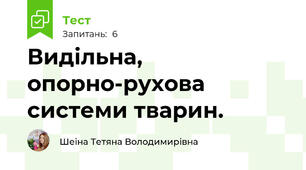 Видільна, опорно-рухова системи тварин.