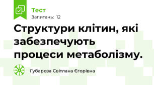 Структури клітин, які забезпечують процеси метаболізму. 