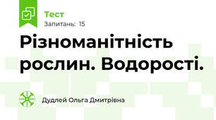 Різноманітність рослин. Водорості.