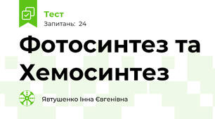 Фотосинтез та Хемосинтез