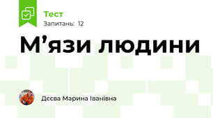 М’язи людини