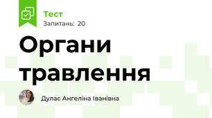 Органи травлення