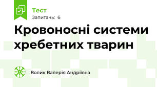 Кровоносні системи хребетних тварин