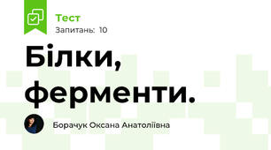 Білки, ферменти.