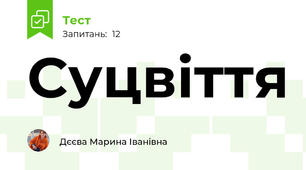 Суцвіття