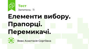 Елементи вибору. Прапорці. Перемикачі.