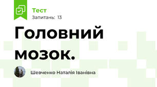 Головний мозок. 