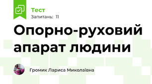 Опорно-руховий апарат людини