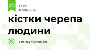 кістки черепа людини