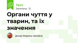 Органи чуття у тварин, та їх значення