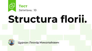 Structura florii.