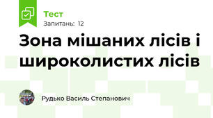 Зона мішаних лісів і широколистих лісів