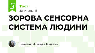 ЗОРОВА СЕНСОРНА СИСТЕМА ЛЮДИНИ